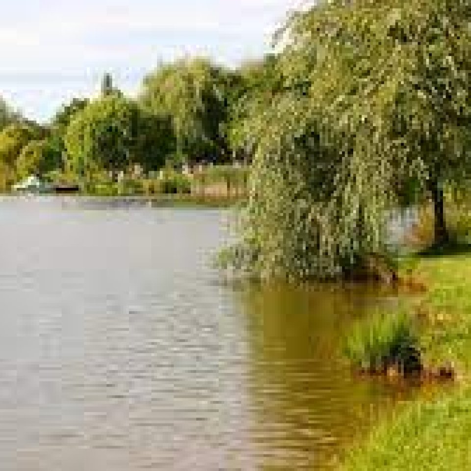 Borostyán-tó Zalalövő ( 38 km )