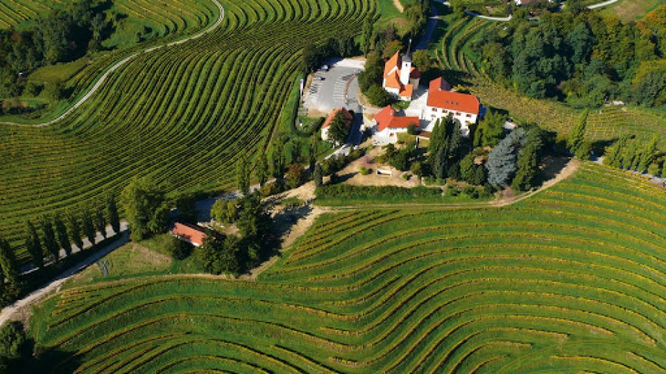 Jeruzalem ( Szlovénia 70 km )